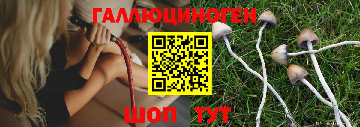 Псилоцибиновые грибы мухоморы Великий Новгород