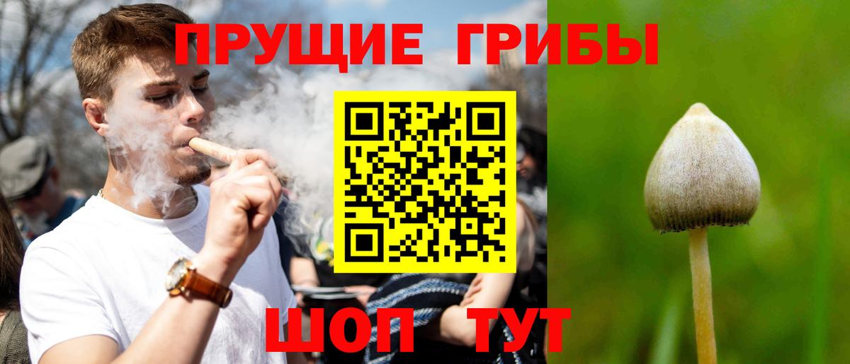 Великий Новгород  сколько стоит  Вход с VPN  Галлюциногенные грибы GOLDEN TEACHER 