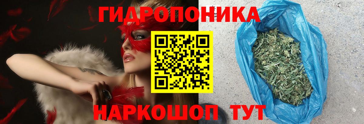 Шишки марихуана планчик Великий Новгород